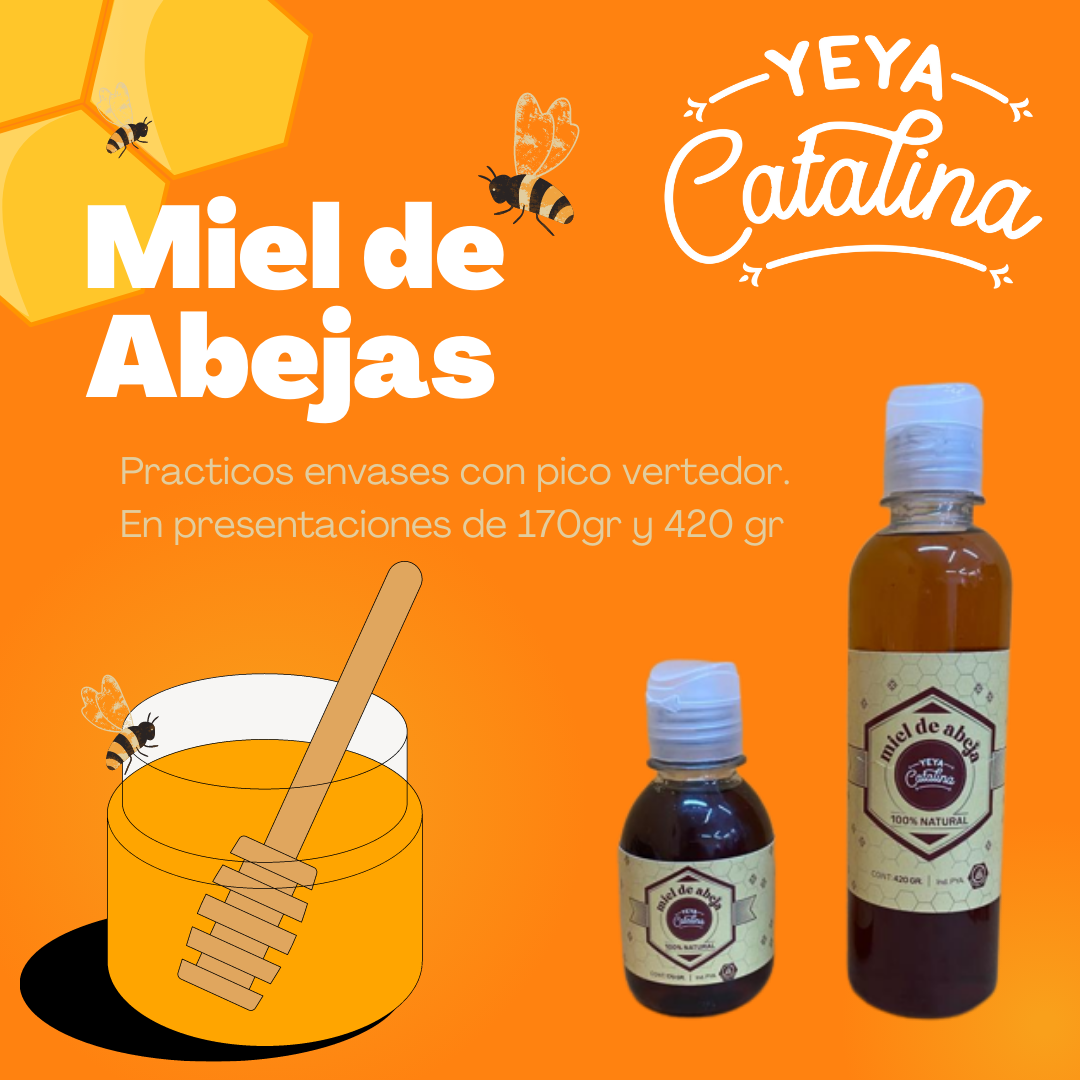 Miel pura de abeja 200ml – APIKATY