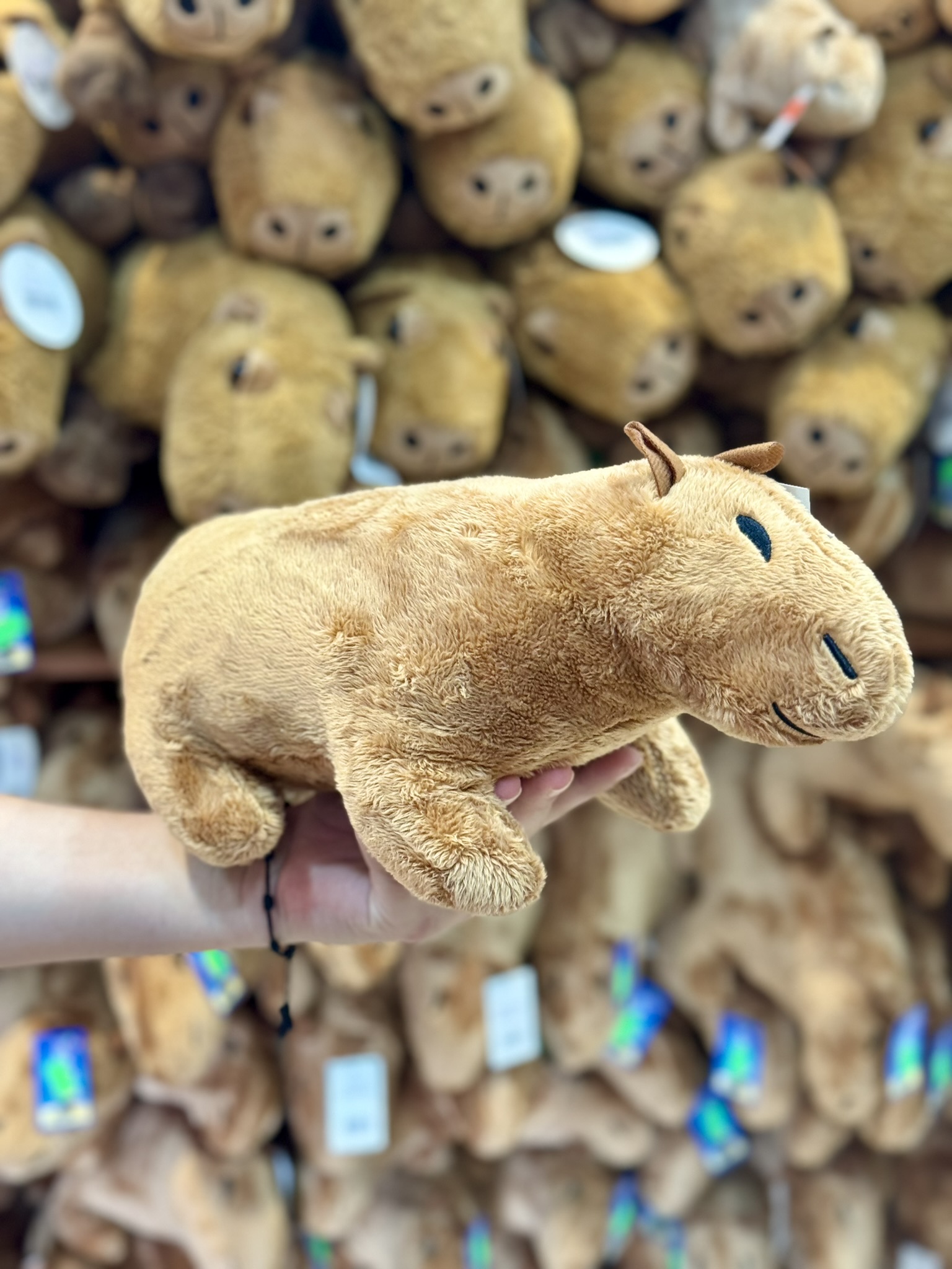 Peluche capybara on sale